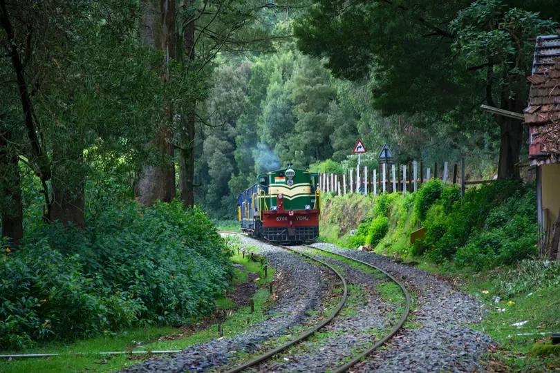 Ooty Tour Package