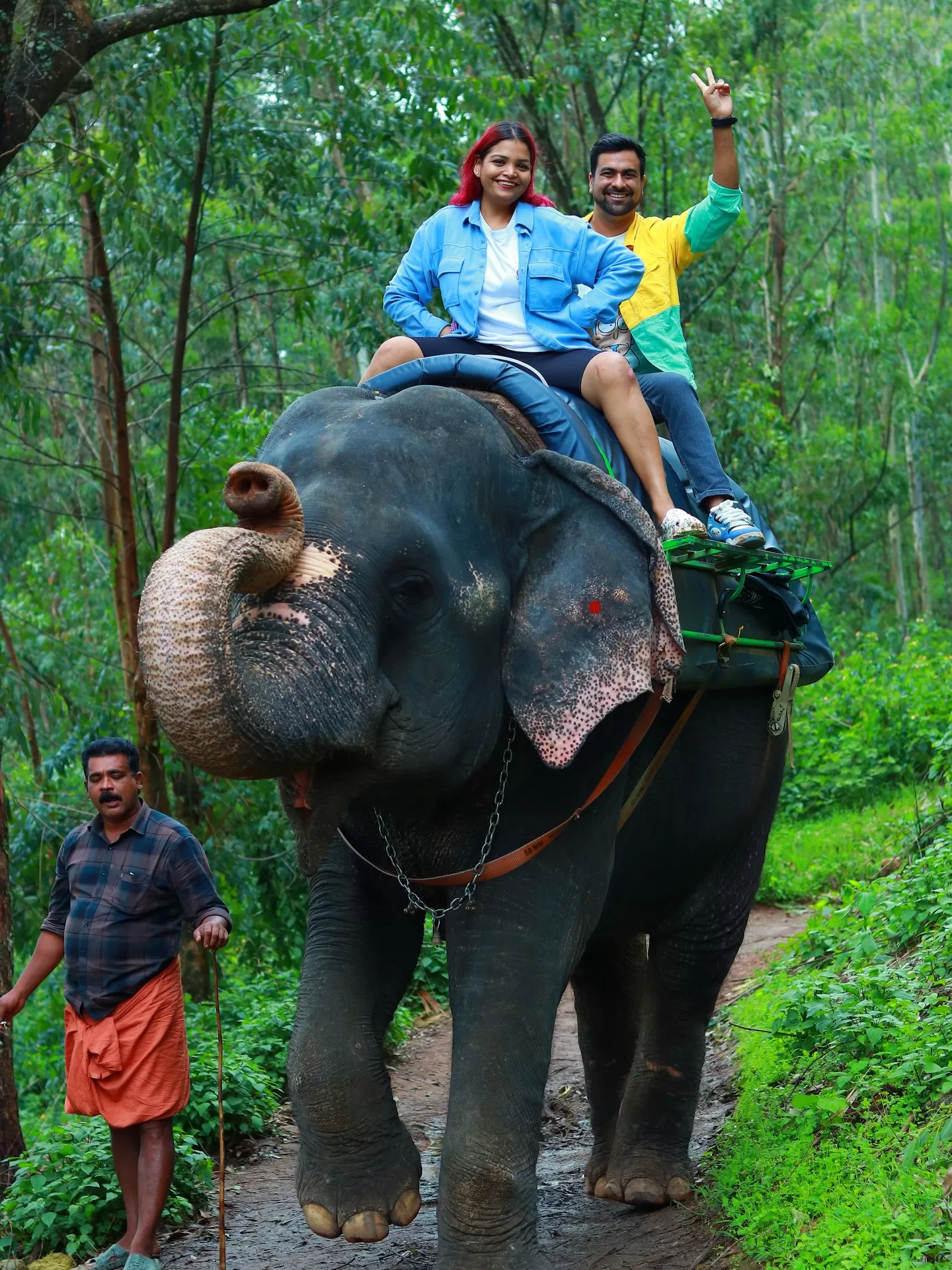 Elephant Ride and Elephant Camp Visit