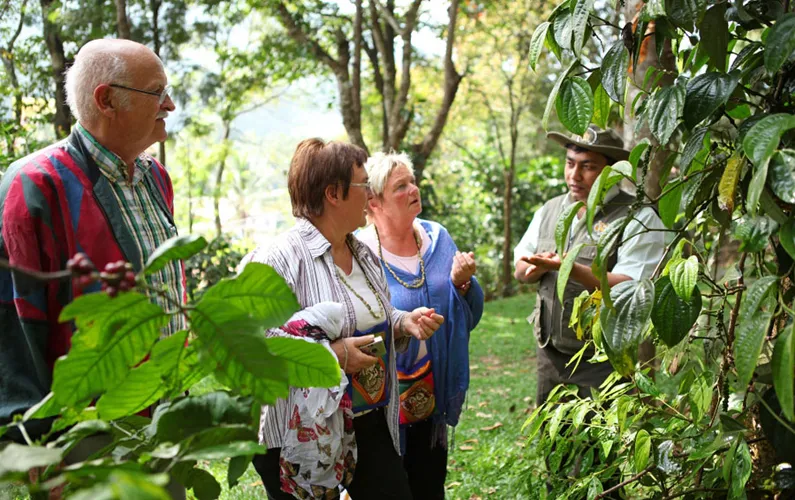 Spice Plantation Tour