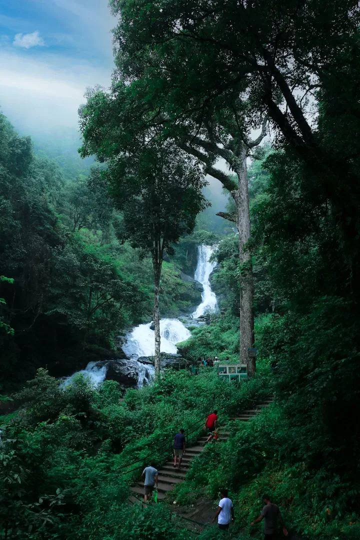 Coorg gallery