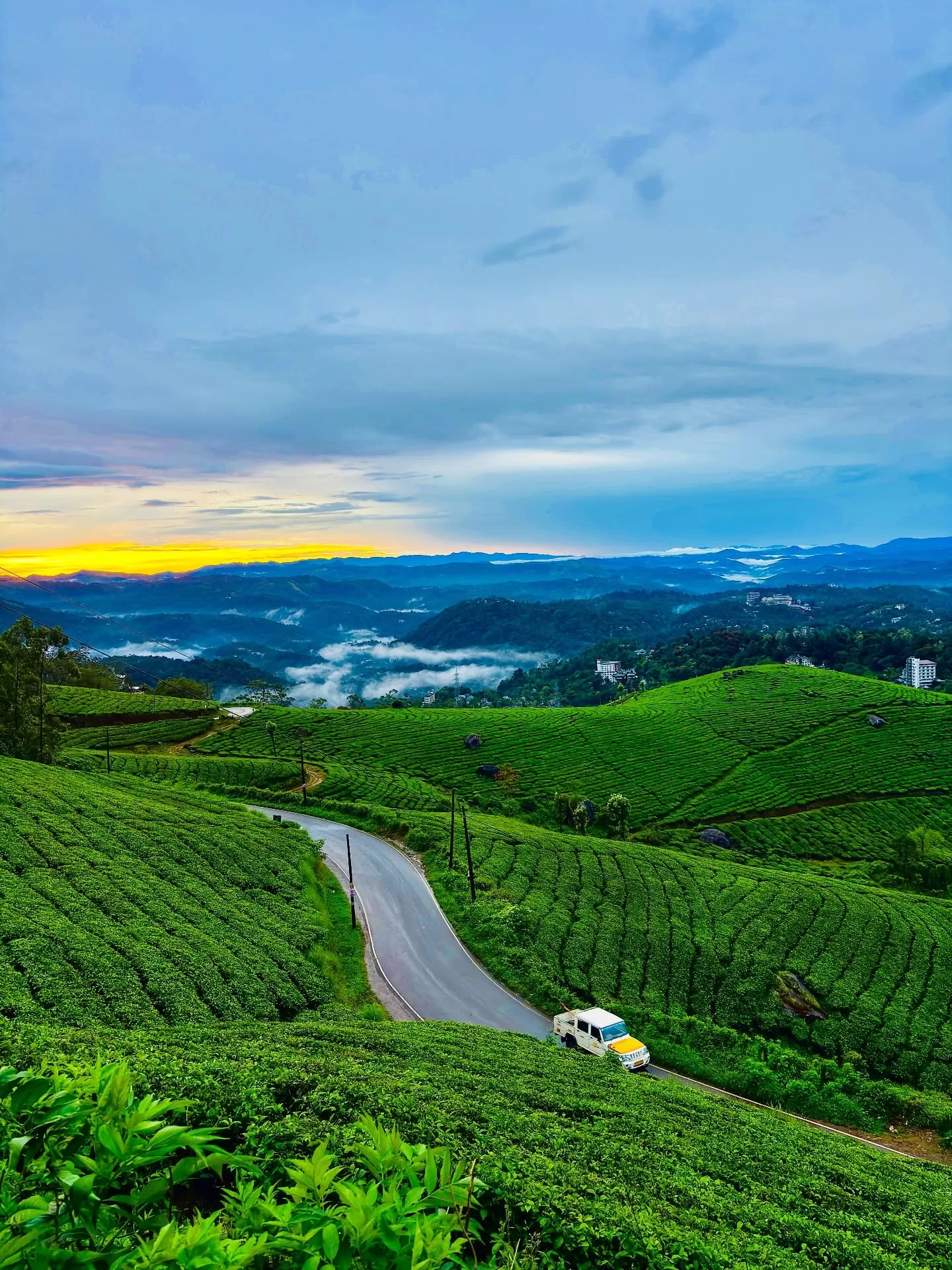 Kerala gallery