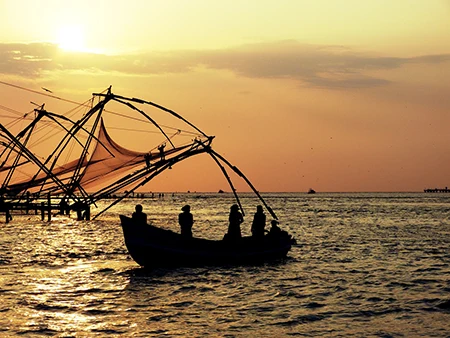 Kerala in 5 Days: The Perfect Backwaters Itinerary