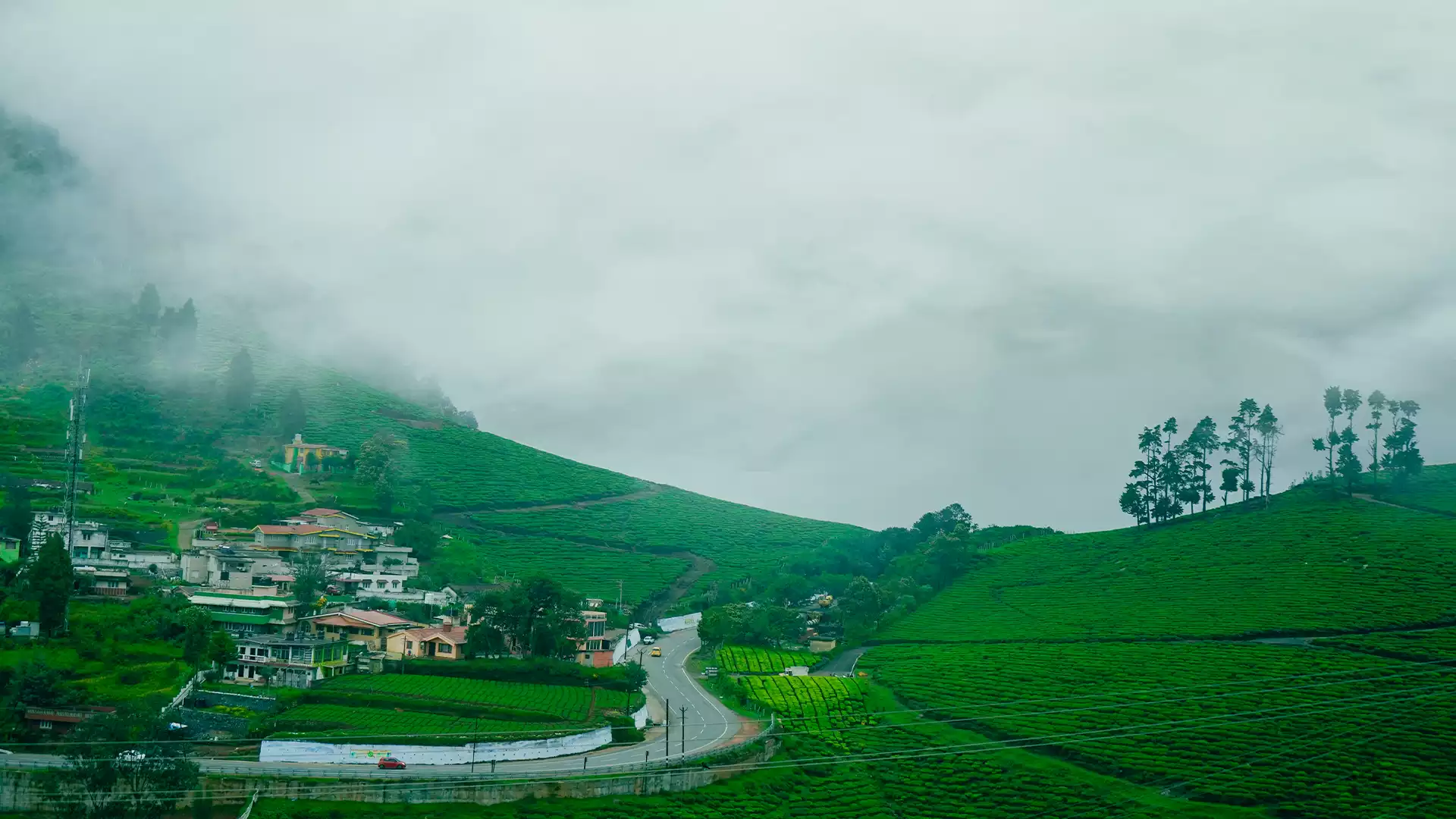Ooty Honeymoon Package