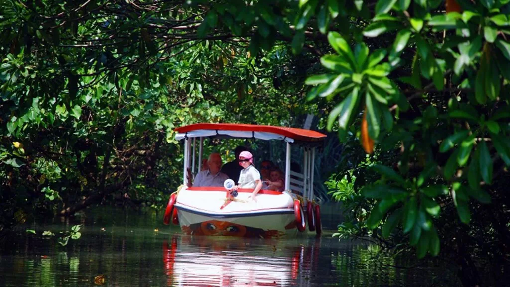 Poovar gallery