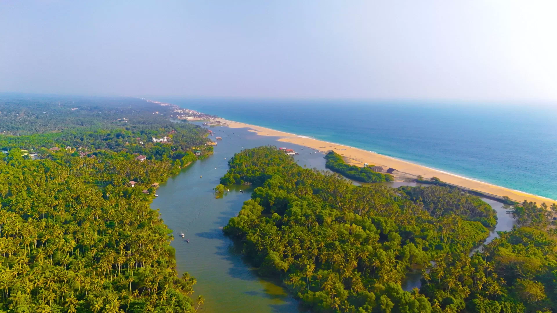 Poovar gallery