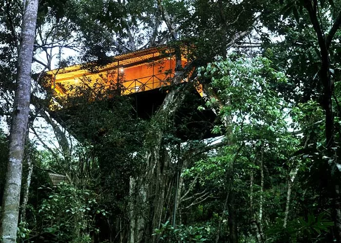 Thekkady gallery