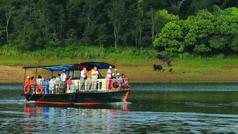 Thekkady gallery