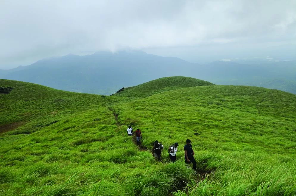 Wayanad gallery