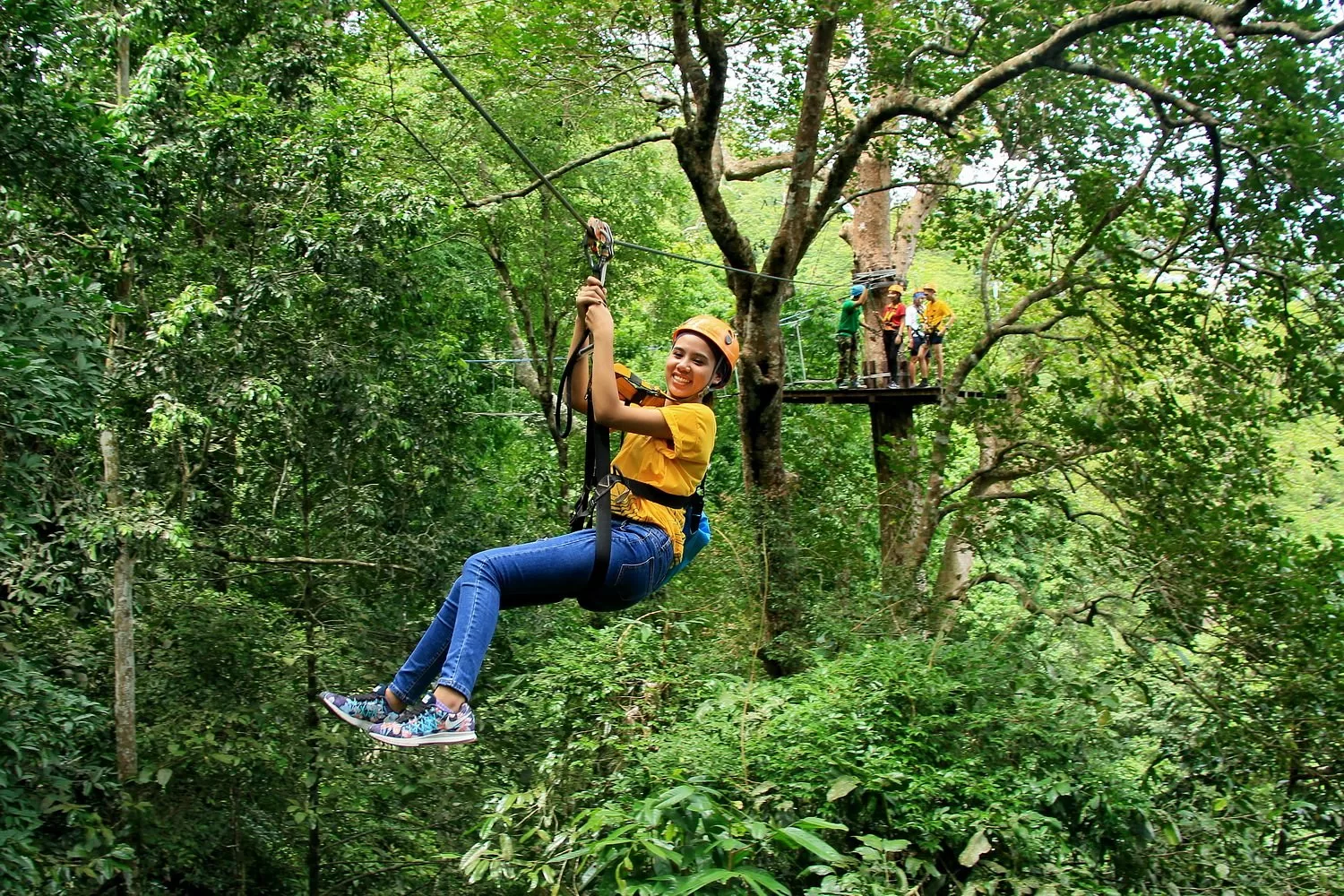 Wayanad gallery