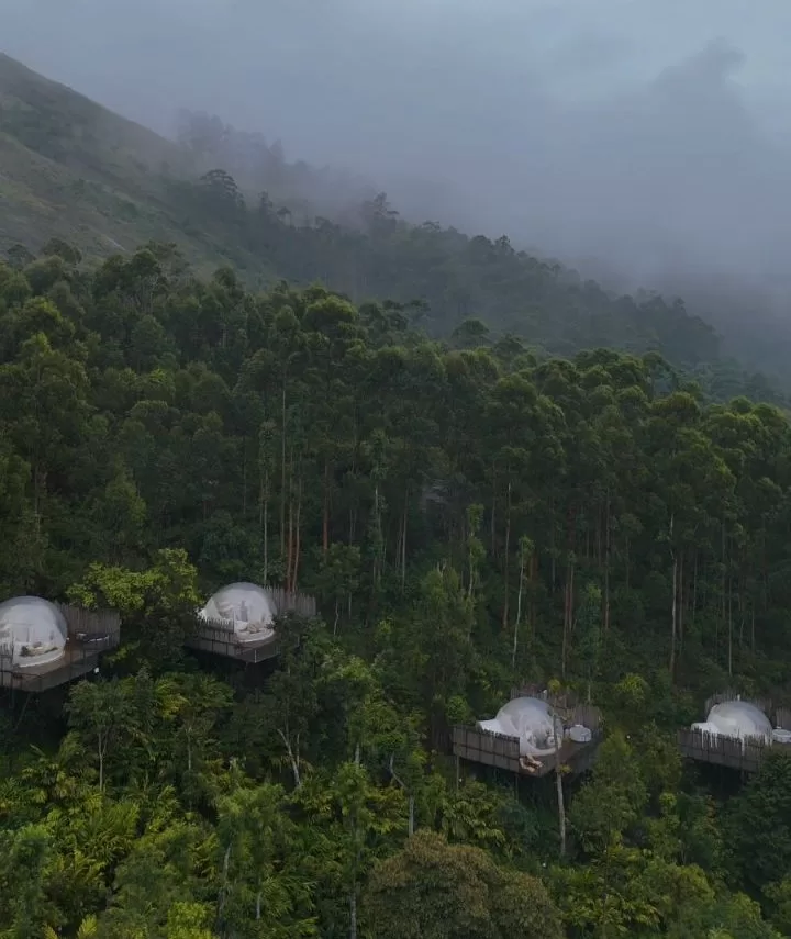 Munnar Glamp Stay Package gallery 2